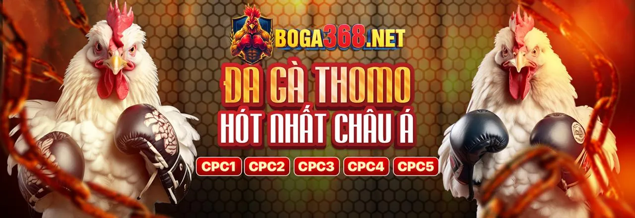 Sân vận động bóng đá với đèn pha sáng rực, tượng trưng cho cá cược thể thao đỉnh cao tại 5top Đăng Nhập.