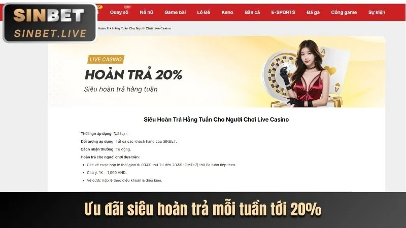 Hoàn trả cực cao không giới hạn 5top